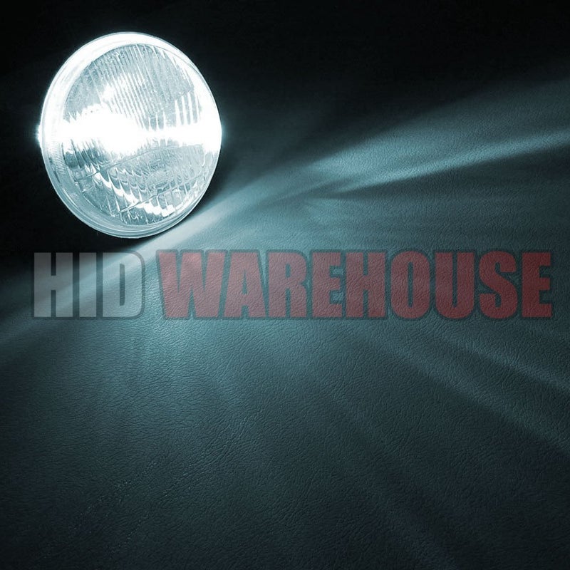 HID-Warehouse HID Xenon Replacement Bulbs - H1 6000K - Light Blue (1 Pair) - Image 3